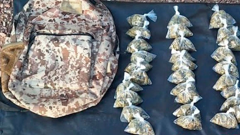 Asegura más de 260 dosis de diferentes drogas en Sonora