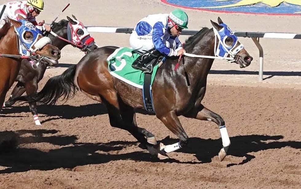 Es Pavel el más rápido en las pruebas para el Shue Fly Stakes